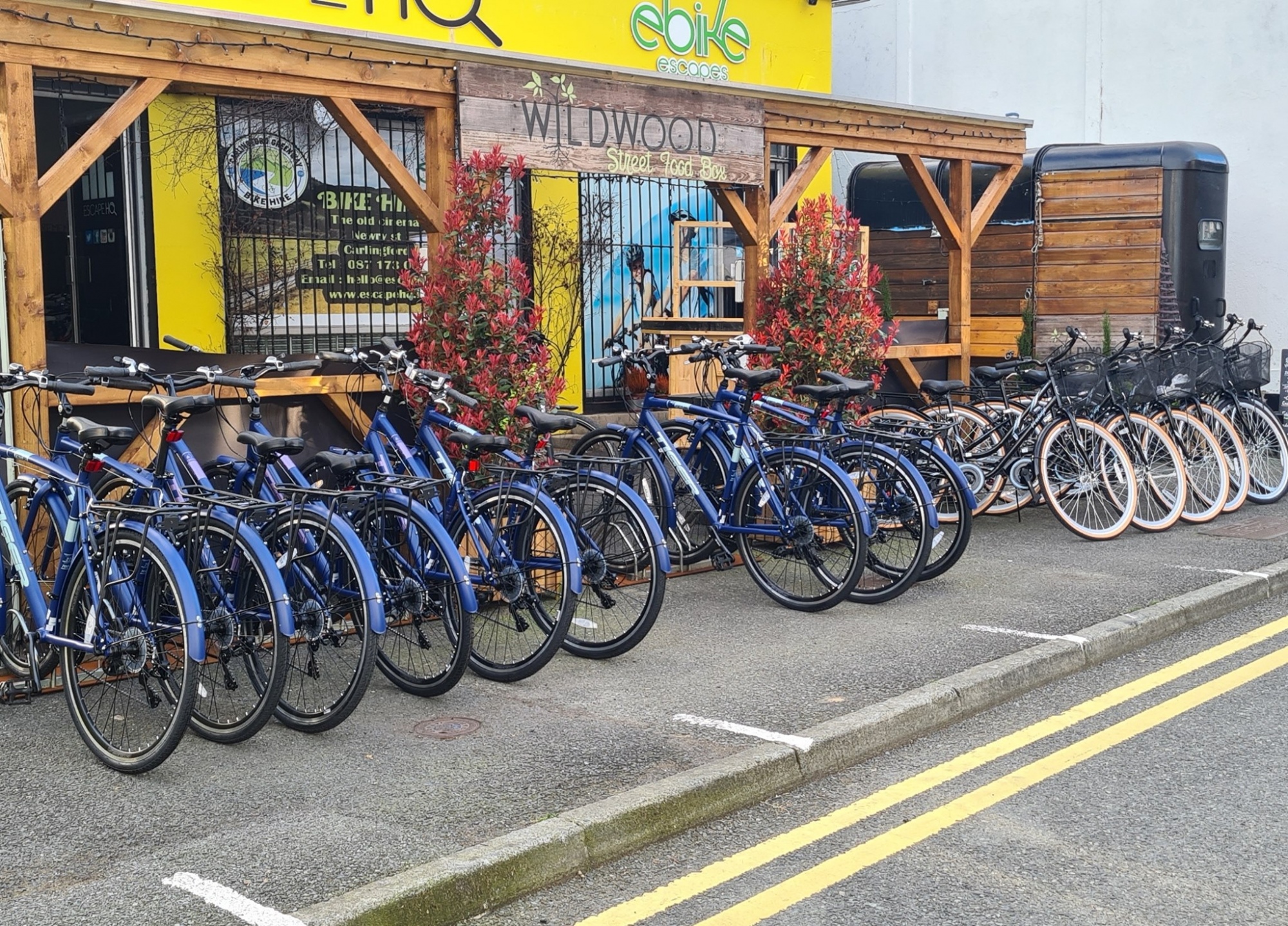 carlingford greenway bike hire