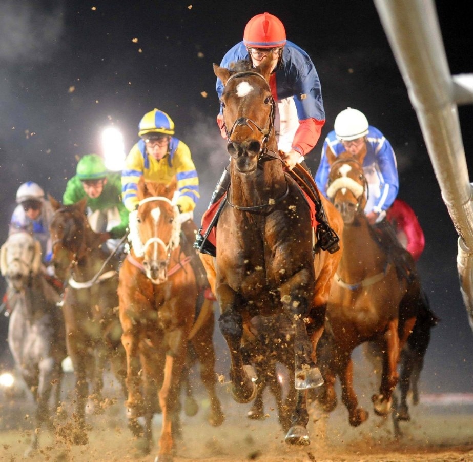 dundalk racecourse stadium